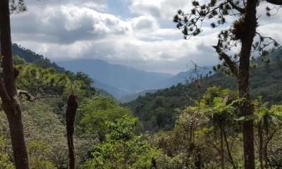 Reserva Madre de las Aguas, entre conservación y desarrollo
