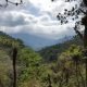 Reserva Madre de las Aguas, entre conservación y desarrollo