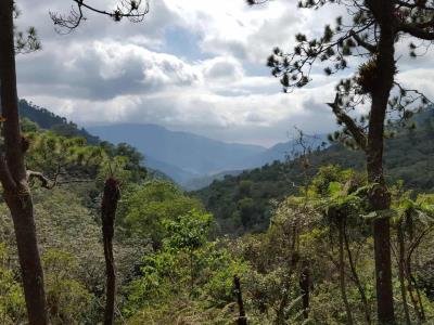 Reserva Madre de las Aguas, entre conservación y desarrollo