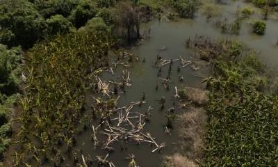Agricultores afectados con presa de Monte Grande piden pagos de tierra