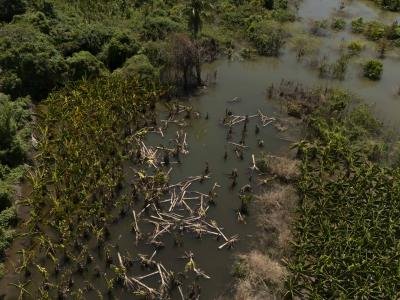 Agricultores afectados con presa de Monte Grande piden pagos de tierra